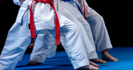 artes marciales